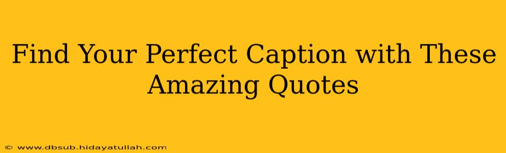 Find Your Perfect Caption with These Amazing Quotes