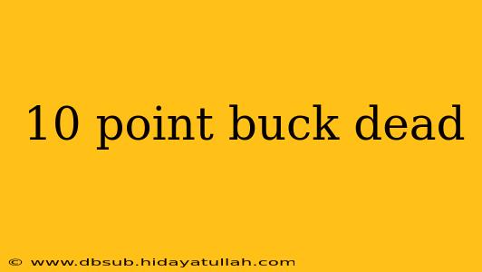 10 point buck dead