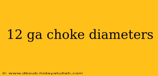 12 ga choke diameters
