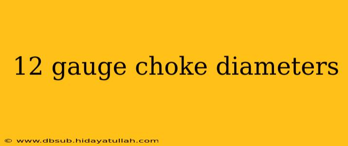12 gauge choke diameters
