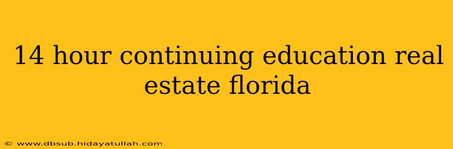 14 hour continuing education real estate florida