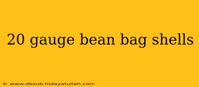 20 gauge bean bag shells