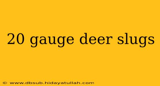 20 gauge deer slugs