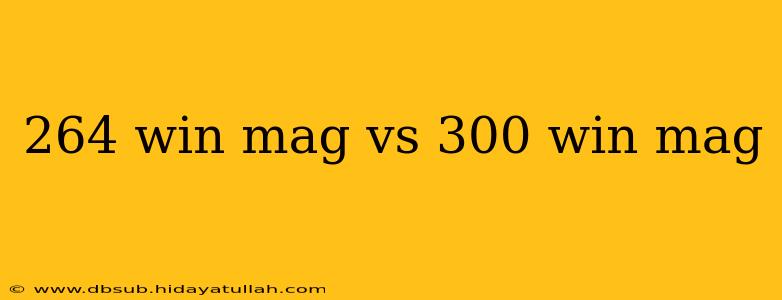 264 win mag vs 300 win mag