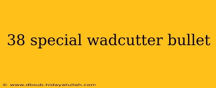 38 special wadcutter bullet