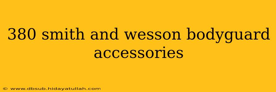 380 smith and wesson bodyguard accessories