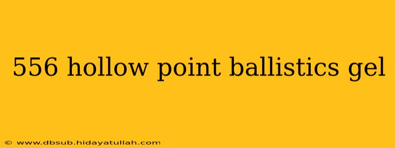 556 hollow point ballistics gel