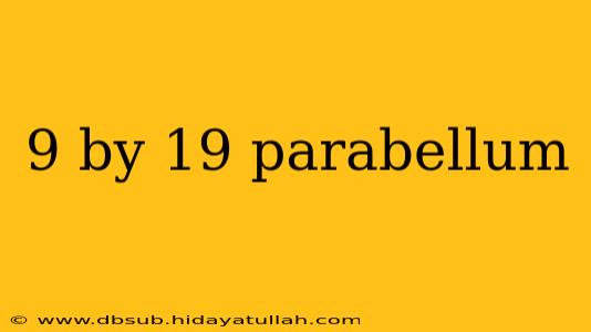 9 by 19 parabellum