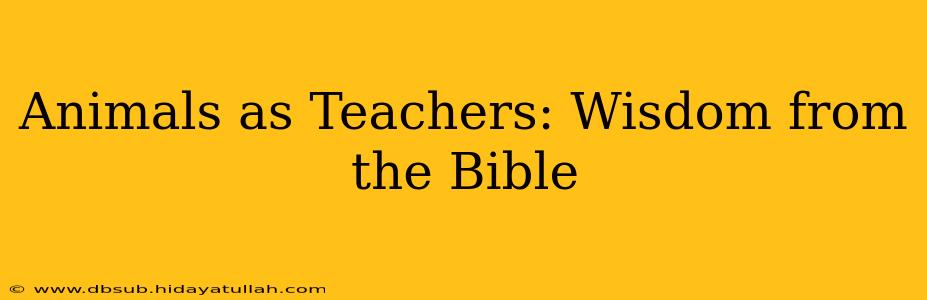 Animals as Teachers: Wisdom from the Bible
