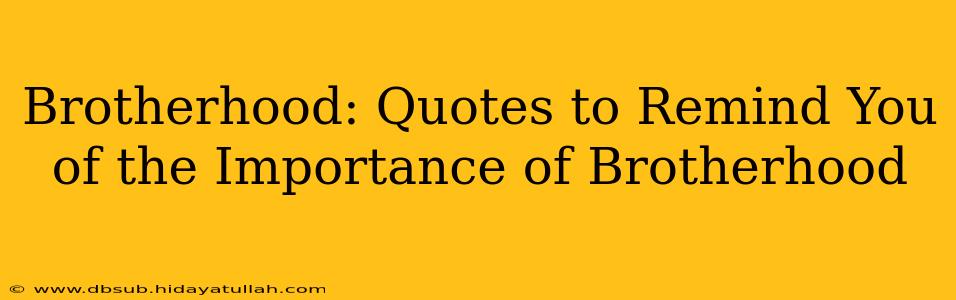 Brotherhood: Quotes to Remind You of the Importance of Brotherhood