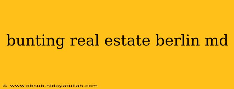 bunting real estate berlin md