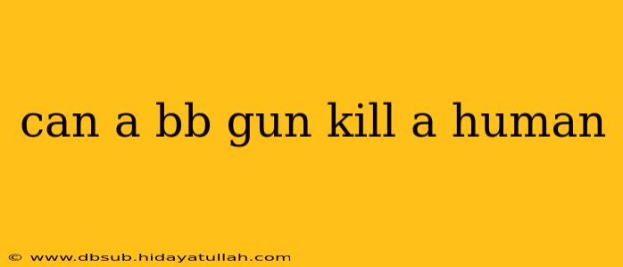 can a bb gun kill a human