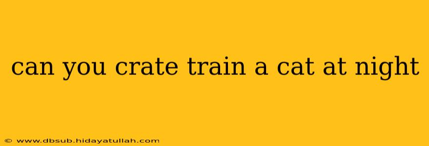 can you crate train a cat at night