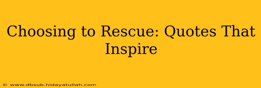 Choosing to Rescue: Quotes That Inspire