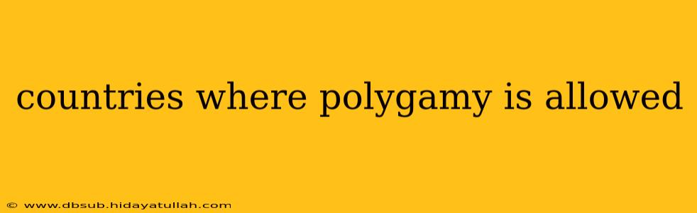 countries where polygamy is allowed
