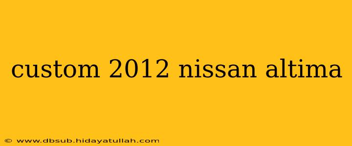 custom 2012 nissan altima