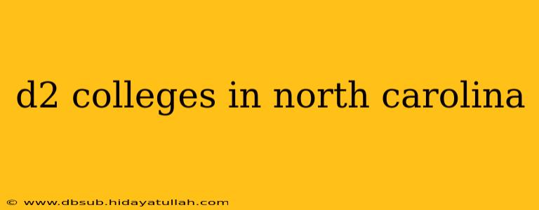 d2 colleges in north carolina