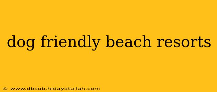 dog friendly beach resorts