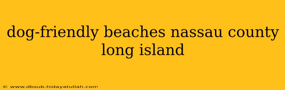 dog-friendly beaches nassau county long island