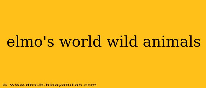 elmo's world wild animals