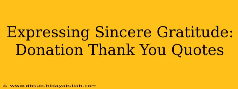 Expressing Sincere Gratitude: Donation Thank You Quotes