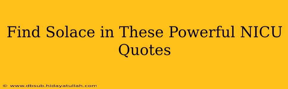 Find Solace in These Powerful NICU Quotes