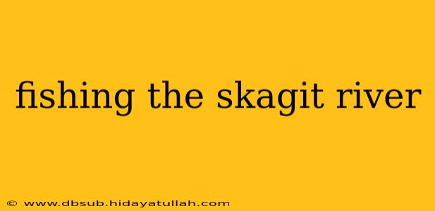 fishing the skagit river