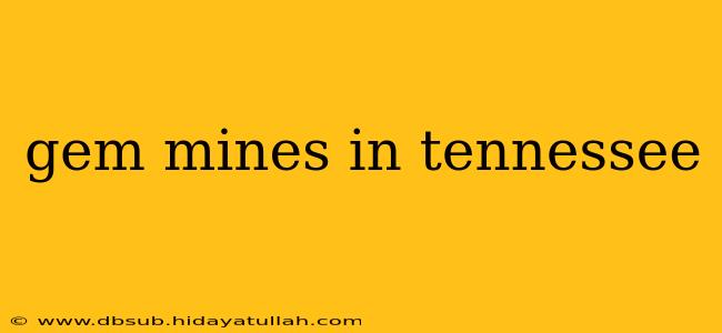 gem mines in tennessee