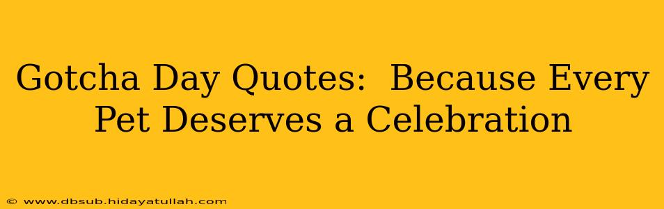 Gotcha Day Quotes:  Because Every Pet Deserves a Celebration