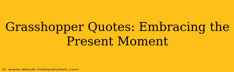 Grasshopper Quotes: Embracing the Present Moment