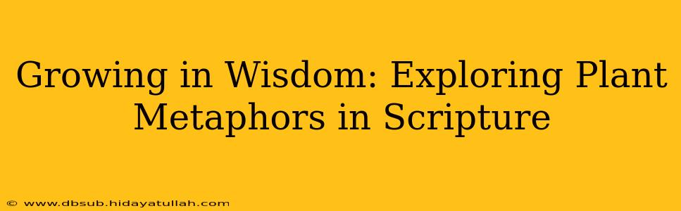 Growing in Wisdom: Exploring Plant Metaphors in Scripture