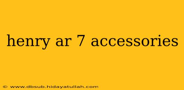 henry ar 7 accessories
