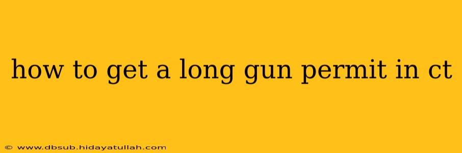 how to get a long gun permit in ct
