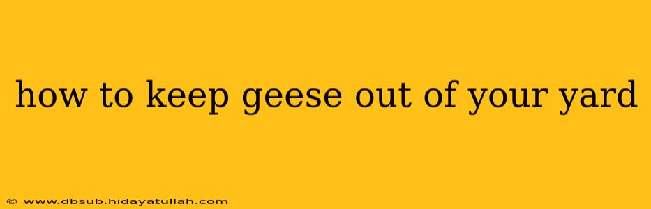 how to keep geese out of your yard
