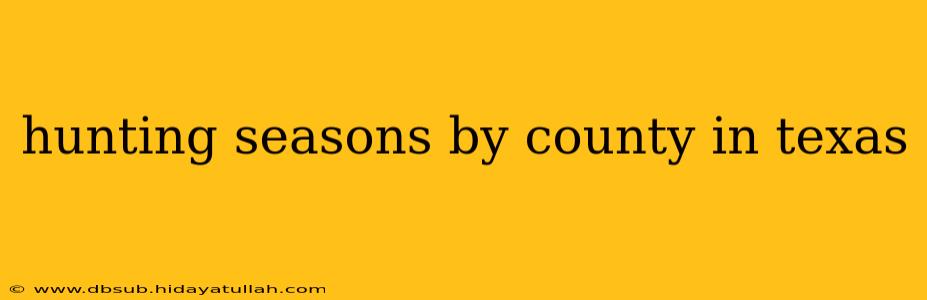 hunting seasons by county in texas