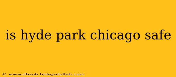 is hyde park chicago safe