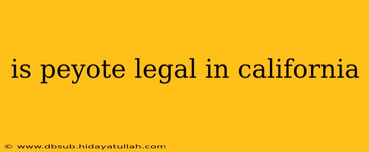 is peyote legal in california