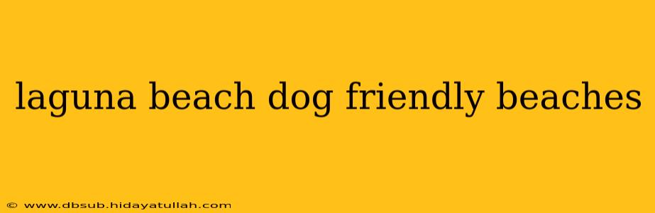 laguna beach dog friendly beaches