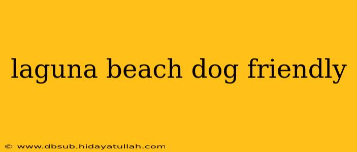 laguna beach dog friendly