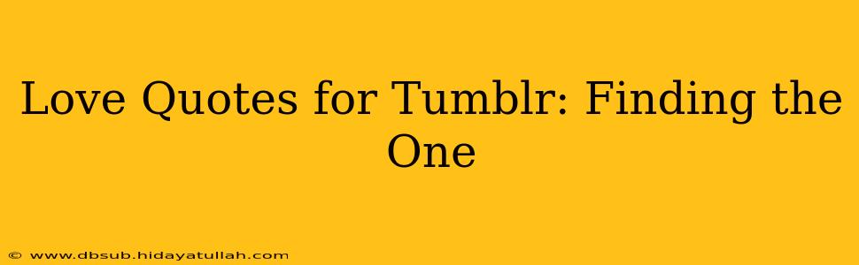 Love Quotes for Tumblr: Finding the One