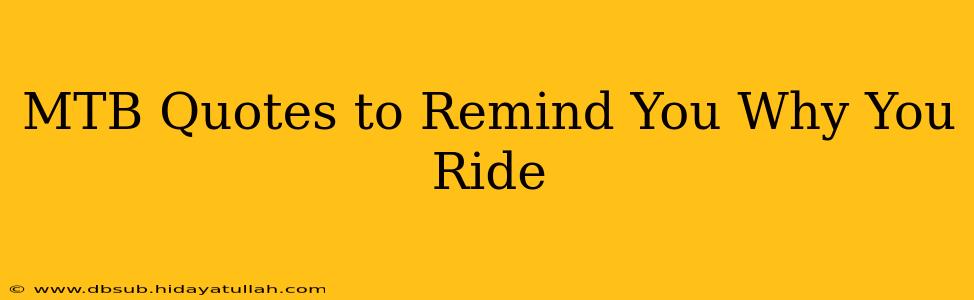 MTB Quotes to Remind You Why You Ride