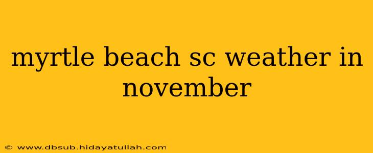 myrtle beach sc weather in november