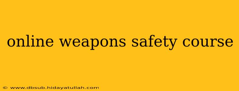 online weapons safety course