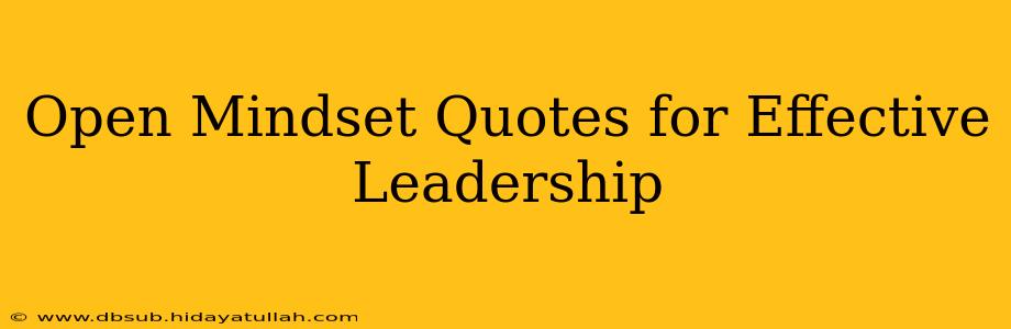 Open Mindset Quotes for Effective Leadership