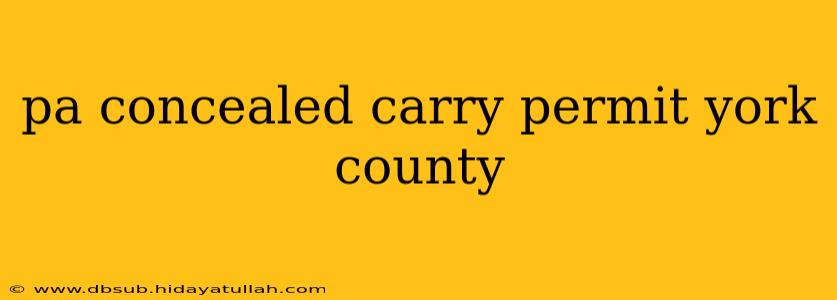 pa concealed carry permit york county