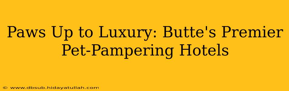 Paws Up to Luxury: Butte's Premier Pet-Pampering Hotels