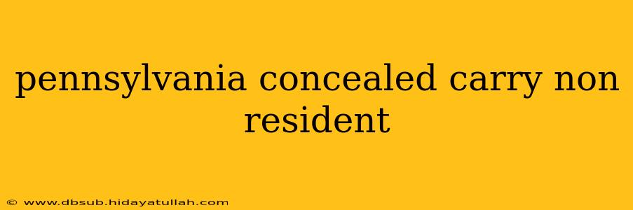 pennsylvania concealed carry non resident