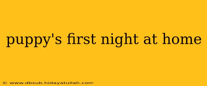 puppy's first night at home