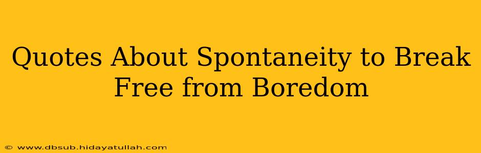 Quotes About Spontaneity to Break Free from Boredom