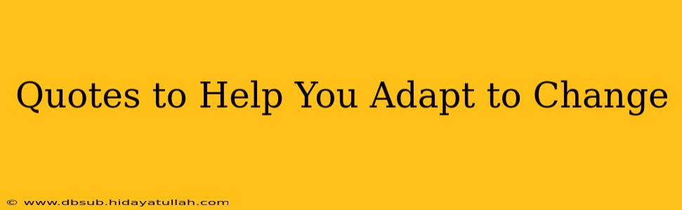 Quotes to Help You Adapt to Change